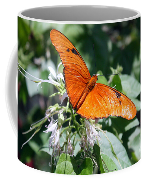 Julia Coffee Mug featuring the photograph Julia Butterfly by Kelly Holm