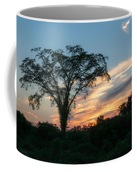 Sunset Coffee Mug featuring the photograph July Sunset by Holden The Moment