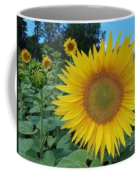 Nature Coffee Mug featuring the photograph July sunshine by Felicia Tica