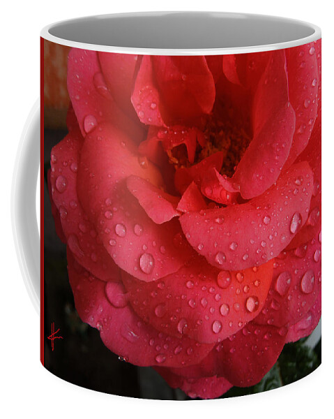 Colette Coffee Mug featuring the photograph June Rose by Colette V Hera Guggenheim