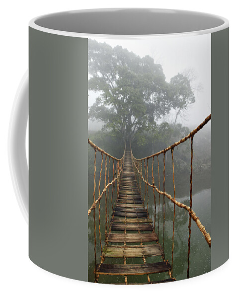 #faatoppicks Coffee Mug featuring the photograph Jungle Journey 2 by Skip Nall