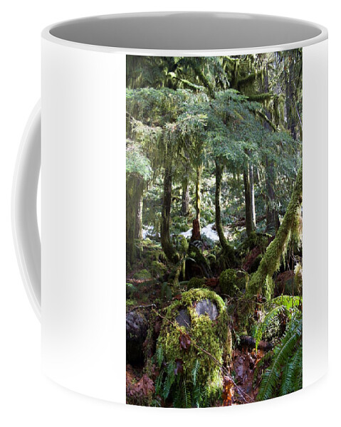 Jurassic Blur Coffee Mug featuring the photograph Jurassic Blur by Dylan Punke