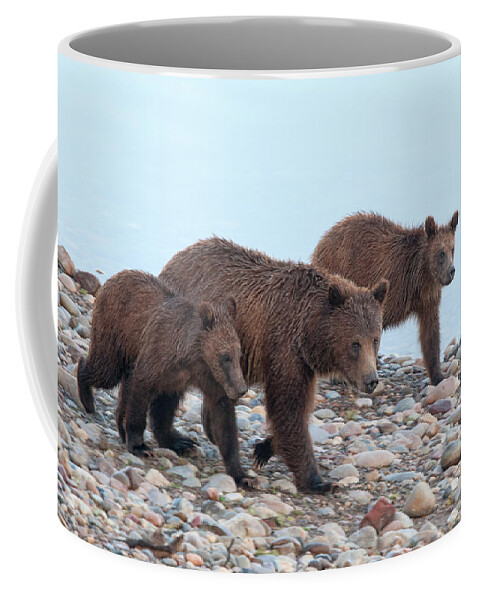 Yellowstone Coffee Mug featuring the photograph Just a Walk on the Beach by Steve Stuller