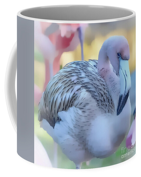 Wildlife Coffee Mug featuring the photograph Juvenile Flamingo Pastles Square by Kathy Baccari