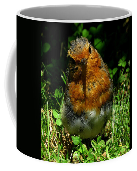 Robin Coffee Mug featuring the photograph Juvenile Robin 2 by John Topman