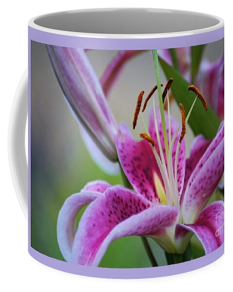 Flower Coffee Mug featuring the photograph K and D Lilly 2 by Merle Grenz
