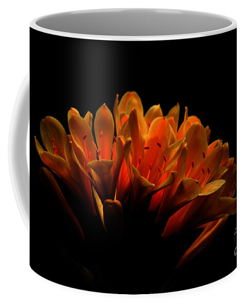 Floral Coffee Mug featuring the photograph Kaffir Lily by James Eddy