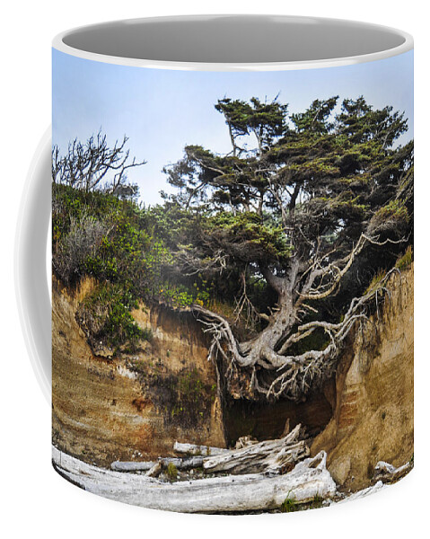 Lone Coffee Mug featuring the photograph Kalaloch Hanging Tree by Pelo Blanco Photo