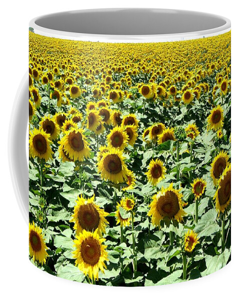 Sunflowers Coffee Mug featuring the photograph Kansas Sunflower Field by Keith Stokes