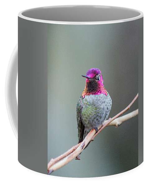 Nature Photography Coffee Mug featuring the photograph Karisa's Hummingbird.1 by E Faithe Lester