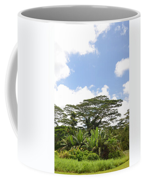 Kauai Coffee Mug featuring the photograph Kauai Hindu Monastery by Amy Fose