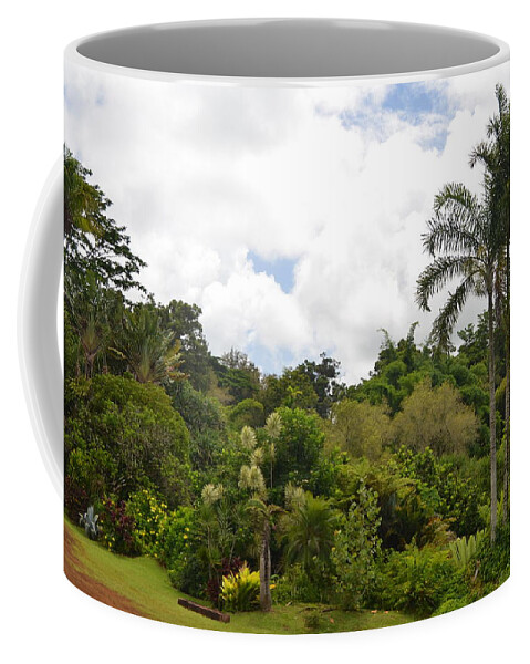 Kauai Coffee Mug featuring the photograph Kauai Hindu Monastery Greenery 1 by Amy Fose