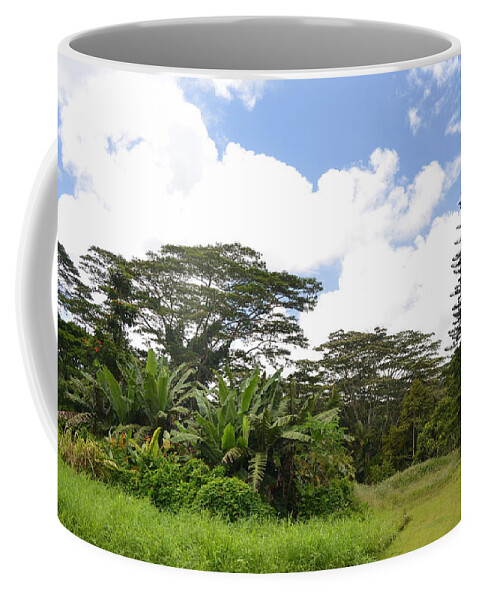 Kauai Coffee Mug featuring the photograph Kauai Hindu Monastery Greenery 2 by Amy Fose