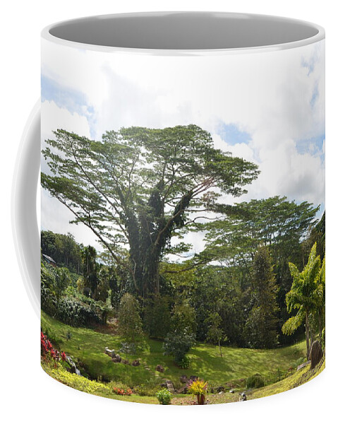Kauai Coffee Mug featuring the photograph Kauai Hindu Monastery Greenery 4 by Amy Fose