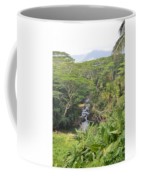 Kauai Coffee Mug featuring the photograph Kauai Hindu Monastery River Valley 1 by Amy Fose
