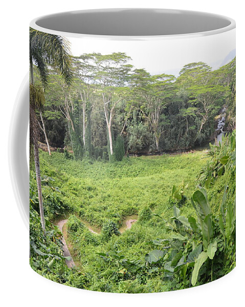 Kauai Coffee Mug featuring the photograph Kauai Hindu Monastery River Valley 2 by Amy Fose
