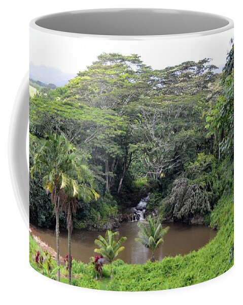 Kauai Coffee Mug featuring the photograph Kauai Hindu Monastery River Valley by Amy Fose