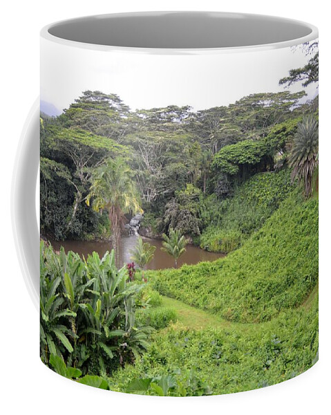 Kauai Coffee Mug featuring the photograph Kauai Hindu Monastery Trail by Amy Fose