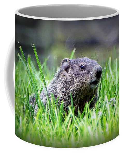 2d Coffee Mug featuring the photograph Keep Low by Brian Wallace