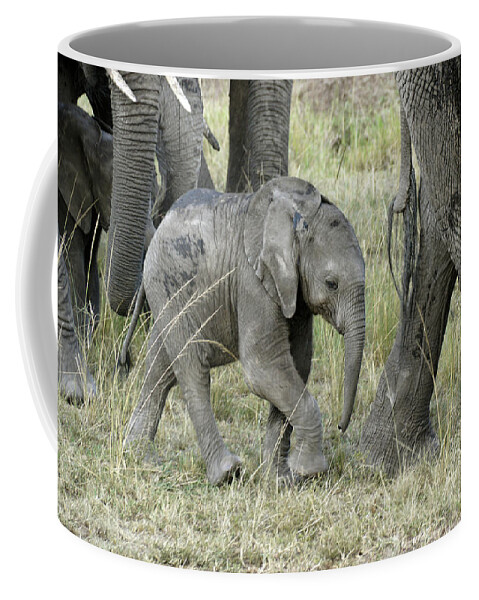 Africa Coffee Mug featuring the photograph Keeping Up With The Big Guys by Michele Burgess