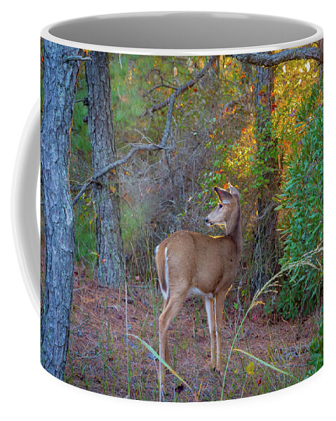 Deer Coffee Mug featuring the photograph Keeping Watch by Jodi Lyn Jones
