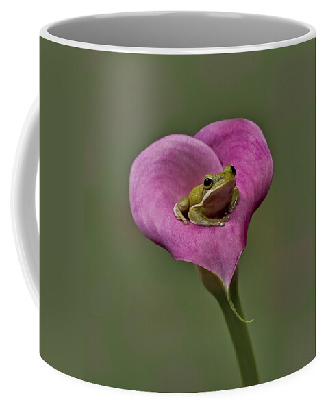 Calla Coffee Mug featuring the photograph Kermit Hangs Out by Susan Candelario