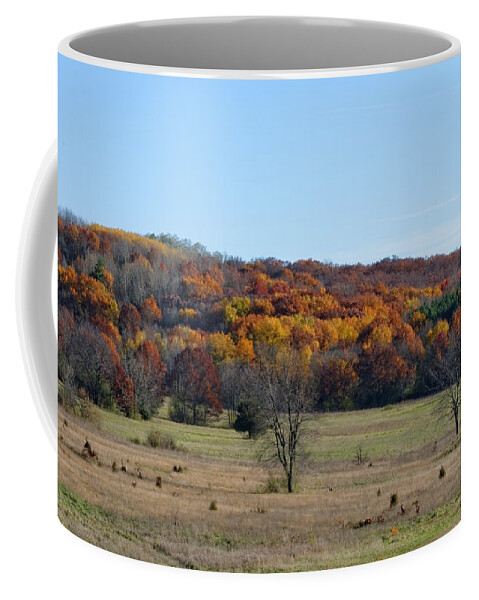 Autumn Coffee Mug featuring the photograph Kettle Morraine in Autumn by Peter Ponzio