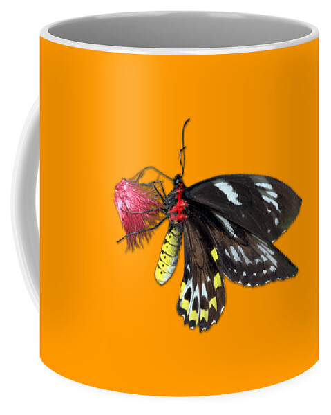 Macro Coffee Mug featuring the photograph Key West Butterfly 12 by Bob Slitzan