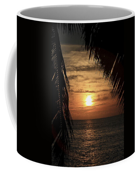 Silhouette Coffee Mug featuring the photograph Key West Palm Sunset 2 by Bob Slitzan