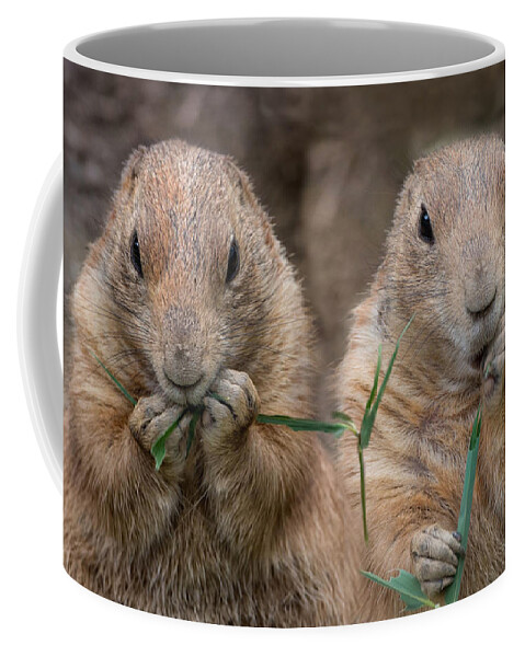 Prairie Dogs Coffee Mug featuring the photograph Kindred by Robin-Lee Vieira
