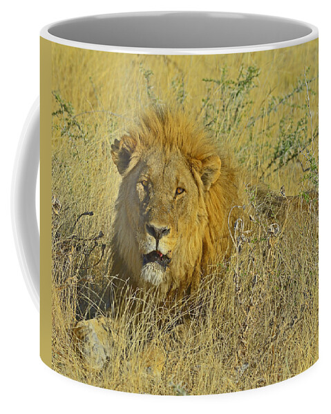 Lion Coffee Mug featuring the photograph King Of Beasts by Tony Beck