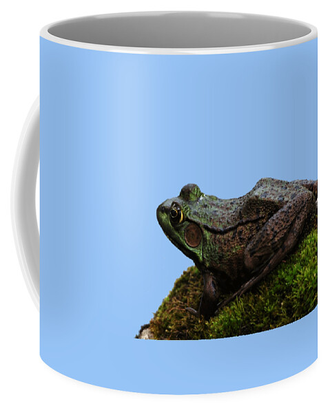 Amphibians Coffee Mug featuring the photograph King Of The Rock by Debbie Oppermann