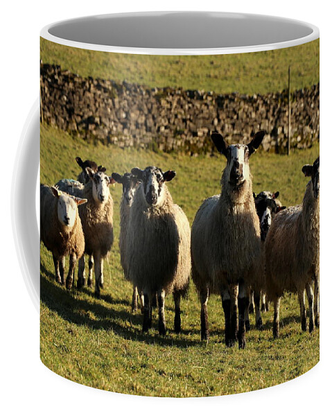 Sheep Coffee Mug featuring the photograph King of the sheep by Lukasz Ryszka