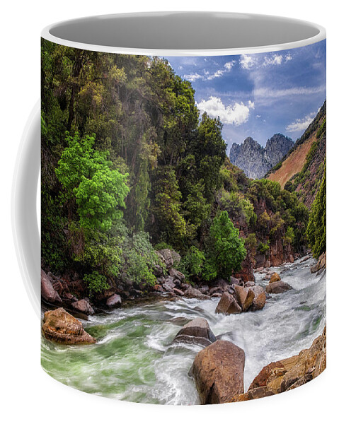 Landscape Coffee Mug featuring the photograph Kings River by Anthony Michael Bonafede