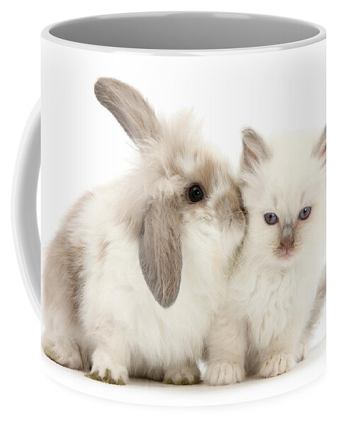 Young Coffee Mug featuring the photograph Kiss her Fluffy Cheek by Warren Photographic