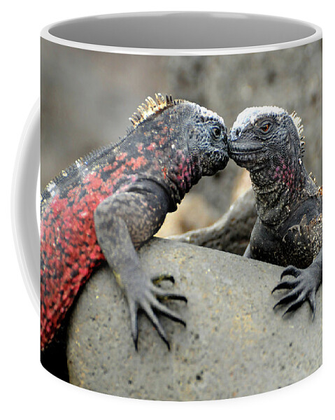Iguana Coffee Mug featuring the photograph Kissing Iguanas by Ted Keller