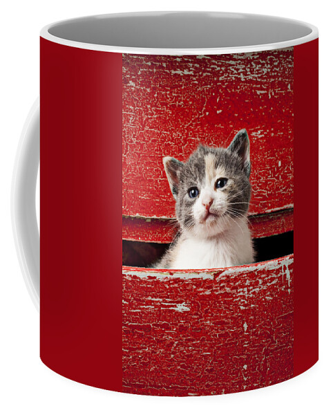 Kitten Coffee Mug featuring the photograph Kitten in red drawer by Garry Gay