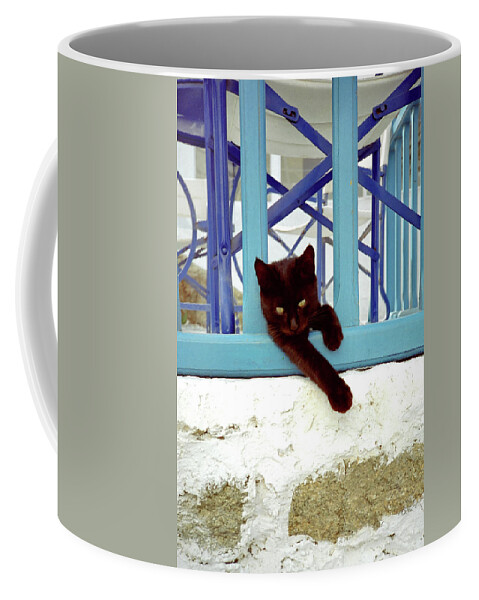 Cuddly Coffee Mug featuring the photograph Kitten with Blue Rail by Frank DiMarco