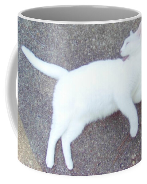 Cat Coffee Mug featuring the photograph Kitty Ballet by Denise F Fulmer