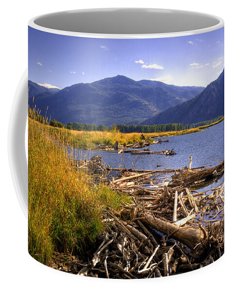 Kootenai Lake Coffee Mug featuring the photograph Kootenai Lake BC by Lee Santa