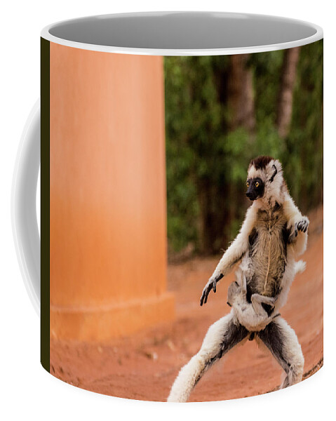 Lemur Coffee Mug featuring the photograph Kung Fu Mom by Alex Lapidus