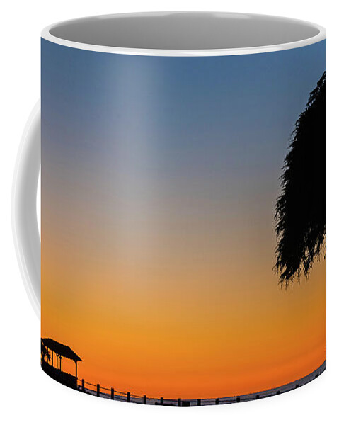 Lajolla Coffee Mug featuring the photograph La Jolla Tree Silhouette Img 3 by Bruce Pritchett