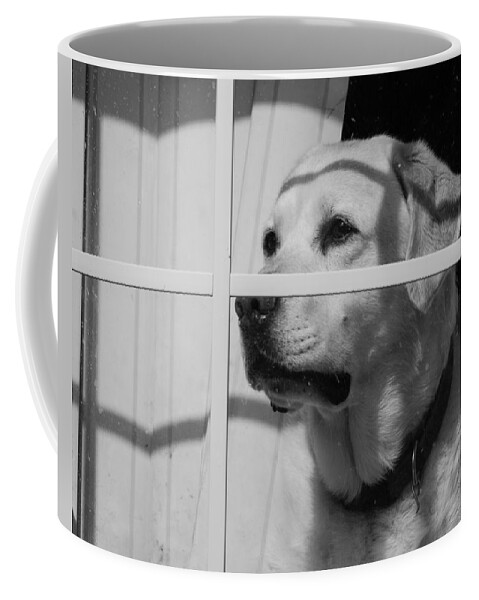 Labrador Retriever Coffee Mug featuring the photograph Labrador Retreiver by Brian MacLean