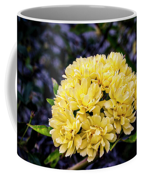 Rose Coffee Mug featuring the photograph Ladies Club by Gene Parks