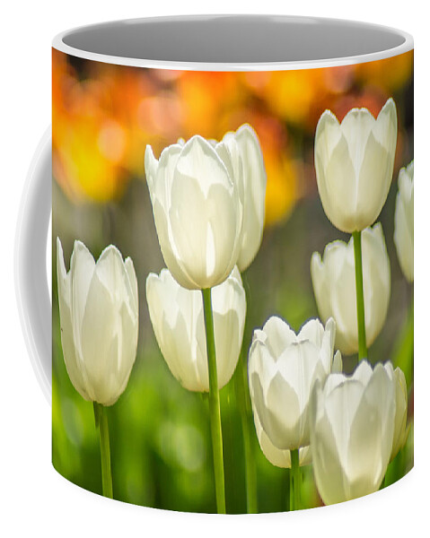 White Coffee Mug featuring the photograph Ladies In White by Bill Pevlor
