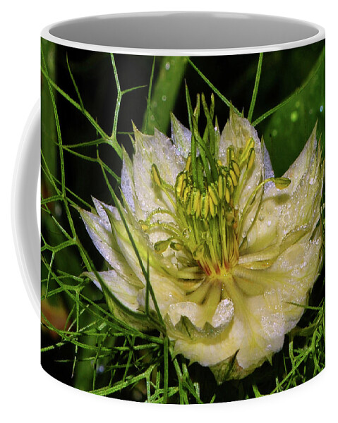  Coffee Mug featuring the photograph Lady In The Mist 006 by George Bostian