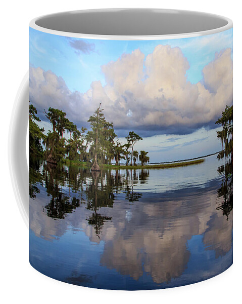 Florida Coffee Mug featuring the photograph Lake Mirror by Stefan Mazzola