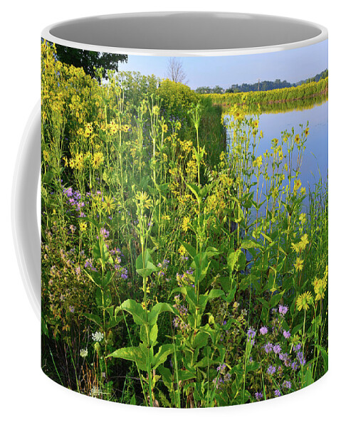 Sunflowers Coffee Mug featuring the photograph Lakeside Sunflowers in Lake County by Ray Mathis
