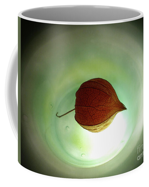 Physalis Alkekengi Coffee Mug featuring the photograph Lampionblume - Physalis alkekengi by Eva-Maria Di Bella