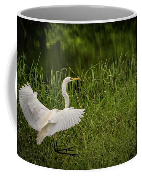 Great Egret Coffee Mug featuring the photograph Landing Zone by Ray Congrove